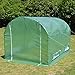 Strong Camel Portable Greenhouse Large Walk in Green Garden Hot House Outdoor Plant Tunnel Tent (10' X7'X6')