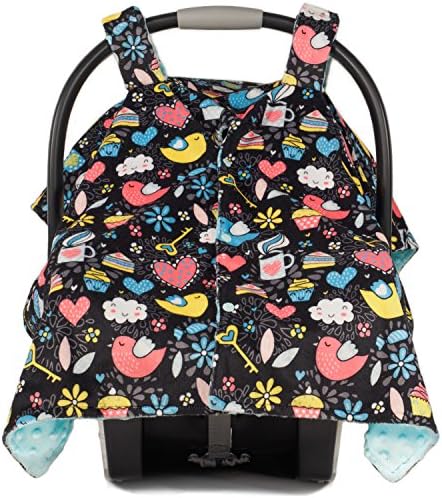 Premium Baby Carseat Canopy and Nursing Cover 2 in 1 | All Season, Warm, Windproof, Sun and Bug Protection, Fits All Car Seats, Boy or Girl | "Sweet ’n Sassy" Print with Minky Fabric (double layer)