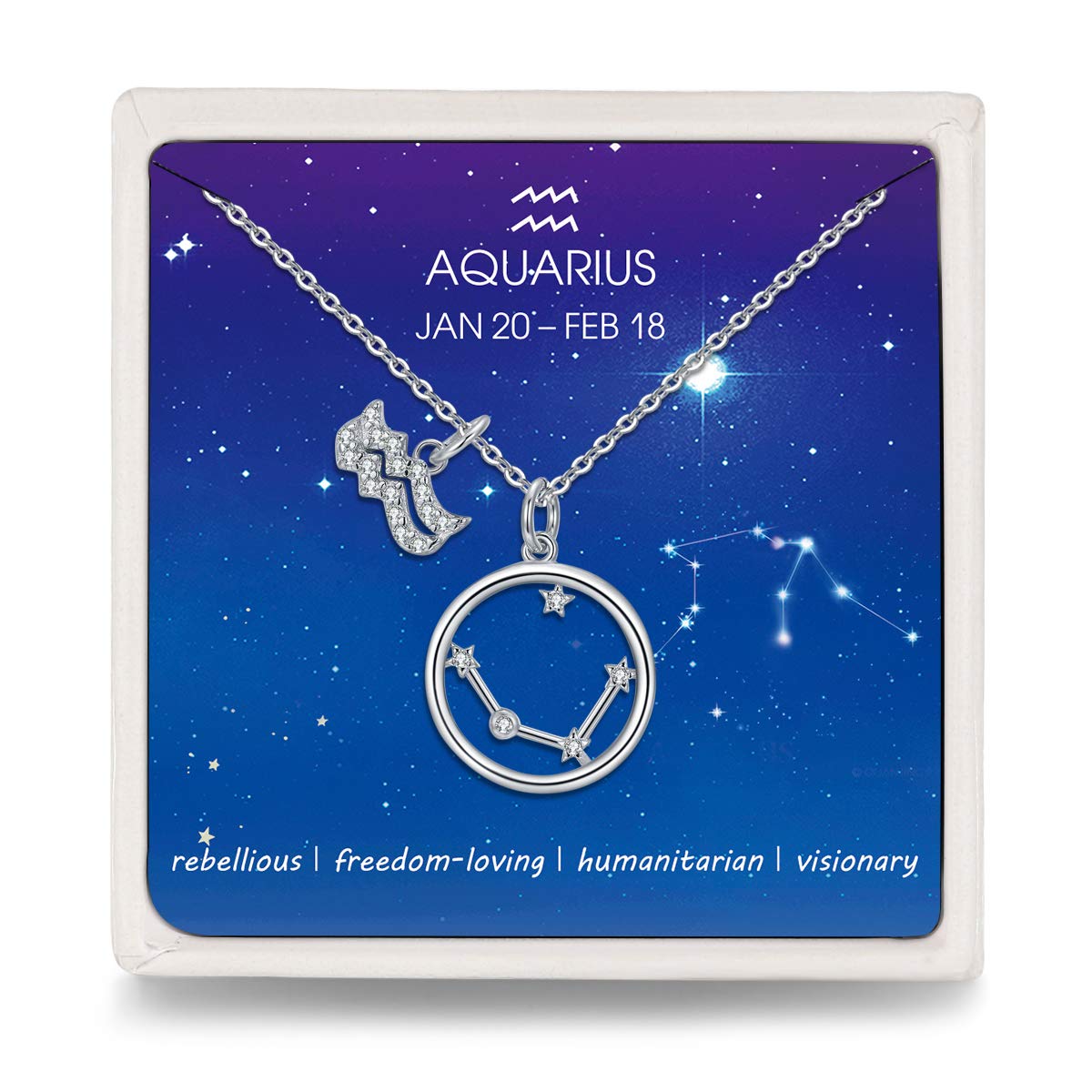 Qings Aquarius BFF Necklace Cubic Zirconia Horoscope Birthstone Best Friend Crystal Necklaces — image 1