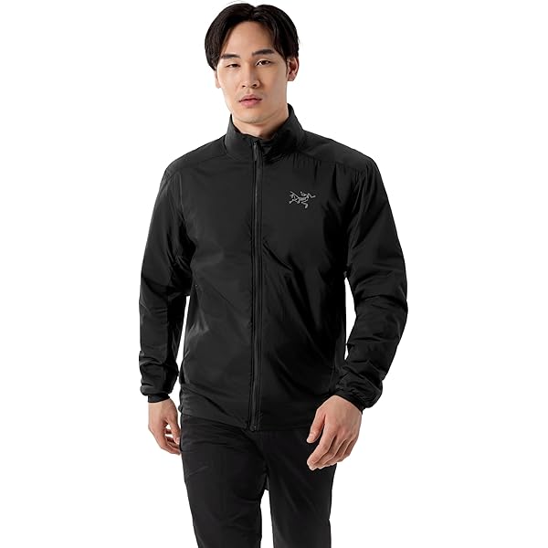 Arc'teryx Beta Insulated Jacket Smoke Bluff LG at Amazon