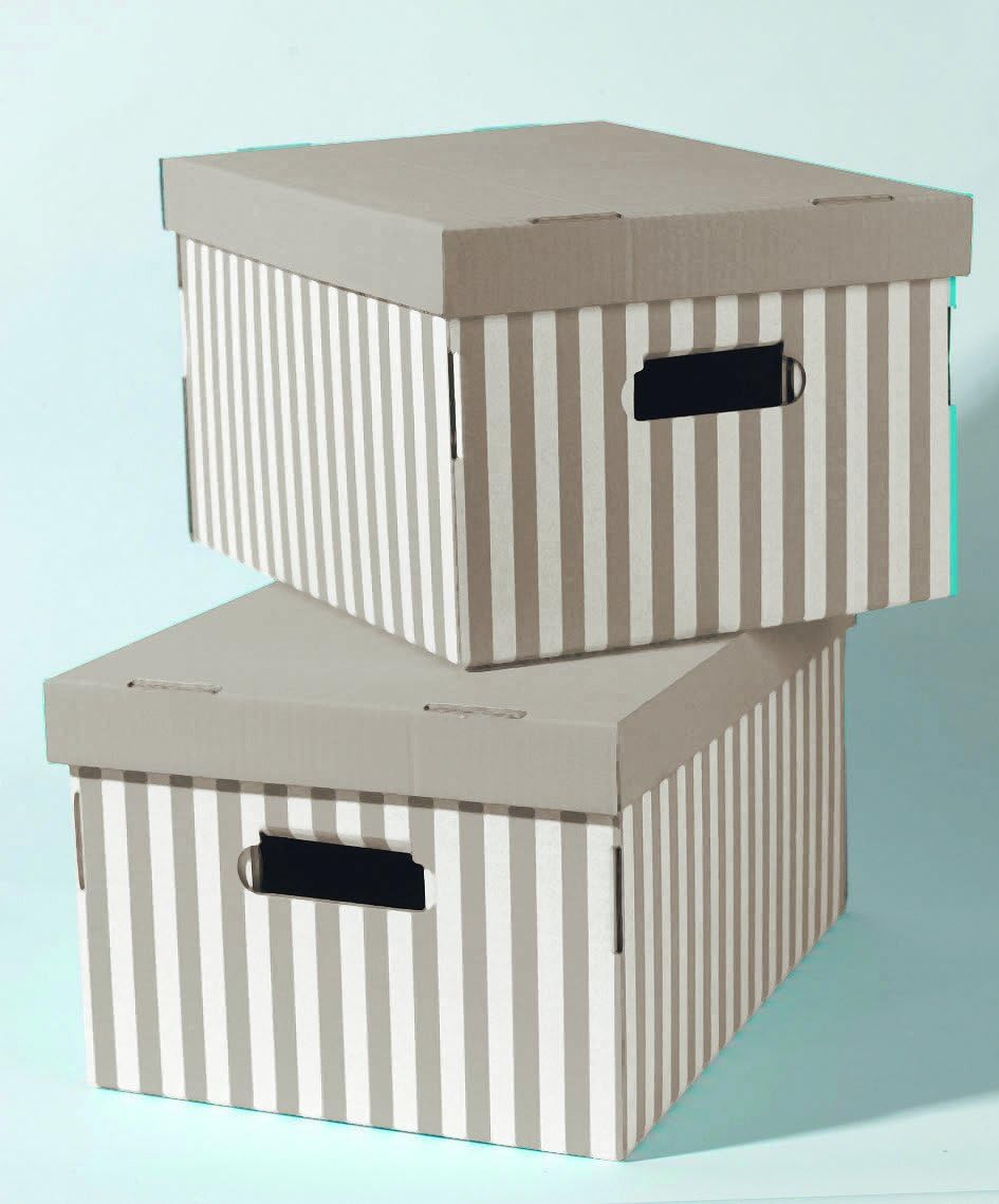 Compactor - Set de 2 Cajas « Shirt », taupe: Amazon.es: Hogar