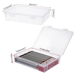 BTSKY Clear Plastic Storage Box with Flap