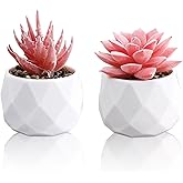 HVEST 2 Pcs Succulents Plants Artificial with Pot Small Fake Potted Plants Artificial Decor Pink Faux Plants for Living Room Bedroom Office Desk Bookshelf Bathroom Decor Artificial Plants