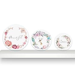 1/4" Plexiglass Sheet - 13" Diameter Clear Acrylic