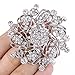 EVER FAITH Women's Austrian Crystal Elegant Flower Bridal Corsage Brooch Pin Clear Silver-Tone
