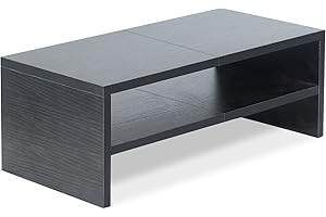 TEAMIX 2 Tiers Wooden Desktop Monitor Stand Riser 20 Inch Printer Stand with Double Storage Small TV Riser Laptop Keyboard Holder Business Desk Organizer Shelf Black Bookshelf