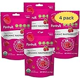PANFRUIT Freeze-Dried Organic Whole Raspberry Snacks – 100% Natural, No Sugar Added, GMO-Free, Gluten-Free – 4 Individual Packs (0.71 oz) – Healthy Crunchy Fruit Snack for Kids & Adults