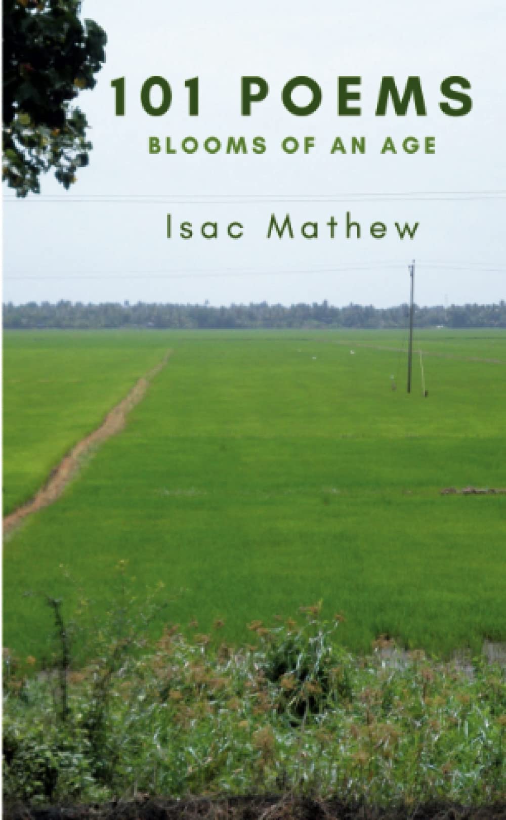 Amazon 101 Poems Blooms Of An Age Mathew Isac Literature Fiction