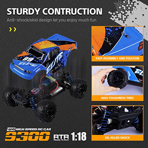 YEZI High Speed Remote Control Car for Kids Adults, 4WD OffRoad