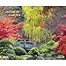 Japanese Garden 2020 Decor Calendar: Der japanische Garten by