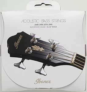 Ibanez IABS4C32 cuerdas para bajo acústico (81,3 cm báscula ...