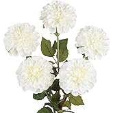 IPOPU White Dahlia Artificial Flowers 5 Pcs Chrysanthemum Flower with 27” Stem for Tall Vase Wedding and Engagement Kitchen Table Centerpiece Arrangement Home Decor