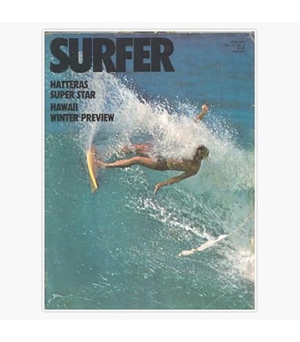 Amazon.com: NIKZ Vintage Surf Poster, Canvas Wall Art, 12L