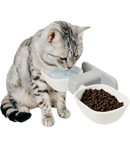 Amazon.com : Felines Only - Purrrfect Cat Dish - Veterinarian-Designed Feeding  Bowl Keeps Dogs Out : Pet Supplies