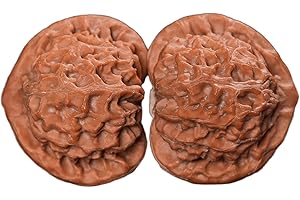 Natural Chinese Wenwan Walnuts, Baoding Stress Balls, Hand Fidget Toy for Relaxation, Collectible Walnut Gift for Fathers, El