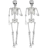 5.9ft Halloween Life Size Skeleton Realistic Full Body Skeletons Plastic Human Bones with Movable Joints for Halloween Props Spooky Party Decoration (2, 5.9ft)