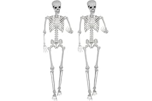 XONOR 5.9ft Halloween Life Size Skeleton Halloween Realistic Full Body Skeletons Plastic Human Bones with Movable Joints for 