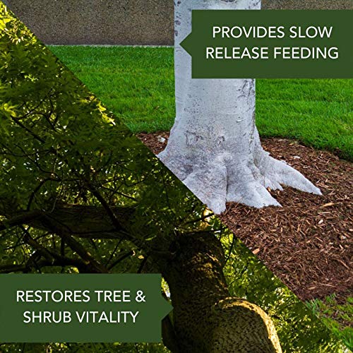 BioAdvanced 701910A 12Month Tree and Shrub Protect and Feed Insect