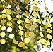 Peicees 4 Pack Gold Circle Dots Glitter Paper Garland Hanging for Wedding Birthday Party Decoration