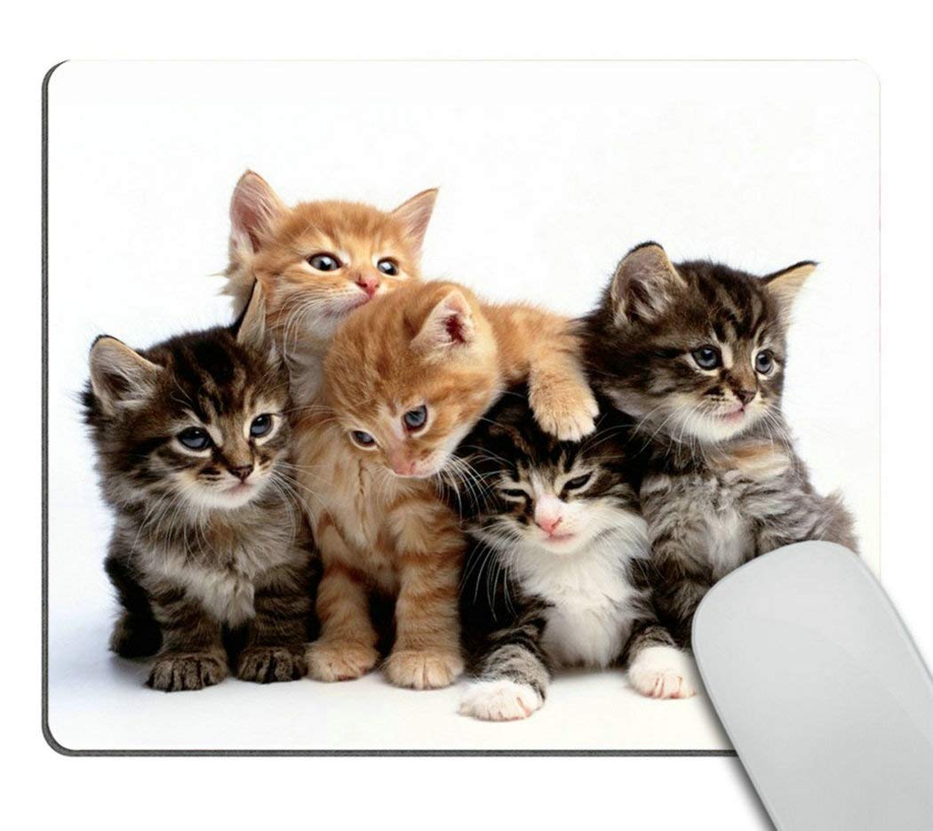 Wasach cats Mouse pad for computers, Kittens Family Cats Mouse Pad Rectangle Non-Slip Rubber Mousepad Gaming Mouse Pads