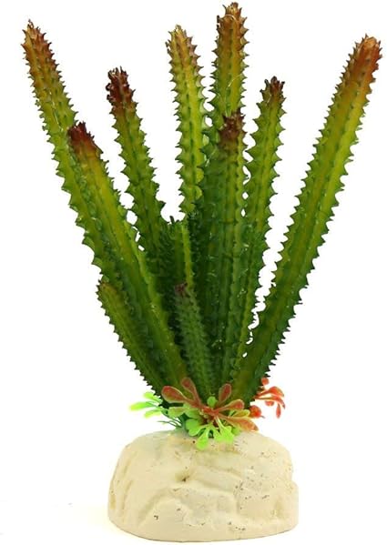 Amazon Co Jp Djy Jy セラミックスタンドワットグリーンプラスチックサボテン植物テラリウムの装飾の爬虫類の生息地の装飾 ホーム キッチン Amazon Co Jp Djy Jy セラミックスタンドワットグリーンプラスチックサボテン植物テラリウムの装飾の爬虫類の生息地の装飾 ホーム キッチン