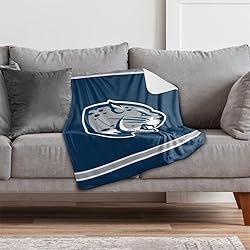 Augusta University Jaguars Primary Logo Stripes