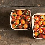 David's Garden Seeds Tomato Cherry Indeterminate