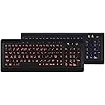iMBAPrice Large Font Print USB LED Backlit Keyboard, Orange and Blue (IMBA-LOB-BKB)