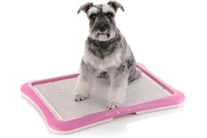 Richell Paw Trax Mesh Training Tray, Pink 25.2 x 18.9 x 1.6" | Richell Paw Trax Mesh Training Tray: Puppy Potty Pad Holder for Indoor Use, Anti-Chewing and Tearing, Ideal for Potty Training Puppies