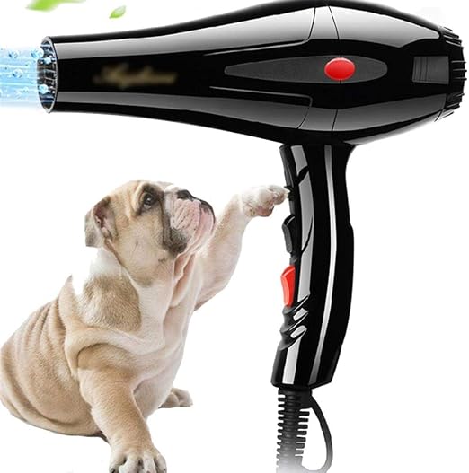 Secadora Para Perros Mercadolibre Outlet, 58% OFF | barcelonabrides.com