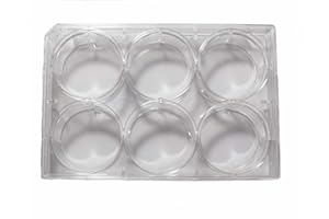 ADVANGENE 6 Well Treated Sterile Flat Tissue Culture Plate (50/Case)