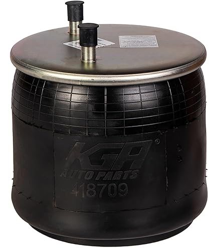 Amazon.com: Load Boss LB9978 Air Spring - Replaces