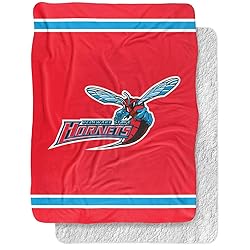 Delaware State University Hornets Primary