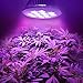 12W LED Grow Light Bulb by Vemotix- Plant Light Bulb E26 - Bulbs for Indoor Garden Greenhouse and Hydroponic Plants (Package May Vary)