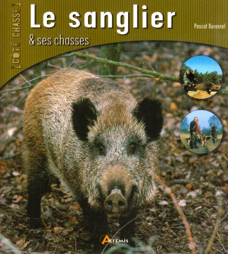 Le  sanglier et ses chasses