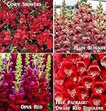 Bulk 3 Snapdragon Seeds Survival Seeds 600 Seeds Upc 646263360538