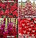 Bulk 3 Snapdragon Seeds Survival Seeds 600 Seeds Upc 646263360538