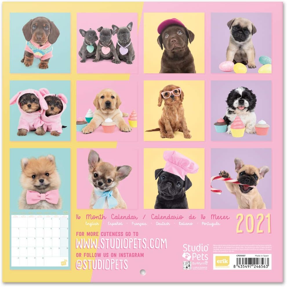 Official Studio Pets Puppies 2021 Wall Calendar 11.8 x 11.8 inches (16 Months) Family Planner Calendar 2021, CP21007 - Image 3