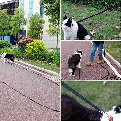20 ft dog leash