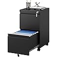 MIIIKO 2 Drawer File Cabinet on Wheels, Home Office Mobile File Drawers Under Desk, Filing Cabinets with Drawers for Legal/Letter/A4 File Folders(Black),Un-Assembled