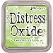 Ranger Tim Holtz Distress Oxide Ink Pads - Candied Apple, Lucky Clover, Twisted Citron, Antique Linen, Frayed Burlap and Black Soot - 6 Ink Pad Set Released June 2017