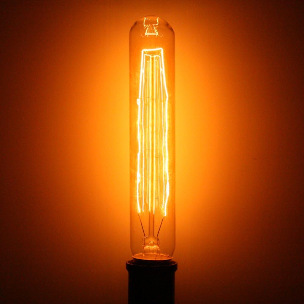 Ferrowatt 126399 - 60/30 watt 120/240 volt Single Loop Filament Medium Screw Base Art Deco Ferrowatt (1930) (F1930 ART DECO T9 120/240V 60/30W E27)