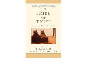 The Tribe of Tiger