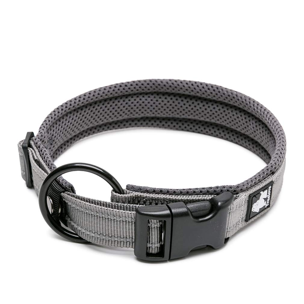 WINHYEPET True Love Dog Collar Reflective Sandwich lining Nylon Webbing Comfortable and Safe Adjustable Buckle convenient used for walking for Samll/Medium/Large neck ring TLC5011(Gray,M)