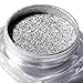 JonerytimeRosalind Women Mirror Powder Effect Chrome Nails Pigment Gel Polish DIY (Silver)