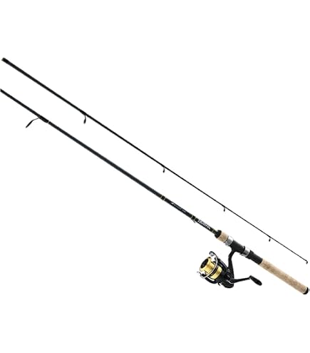 Amazon.com: Daiwa Spinmatic-SMD Rod