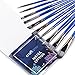 Craftamo Paint Brush Set. 10 Professional Paint Brushes for Artists. Use as Watercolor Brushes, Acrylic Paint Brushes, Oil Paint Brushes and Face Paint Brushes.