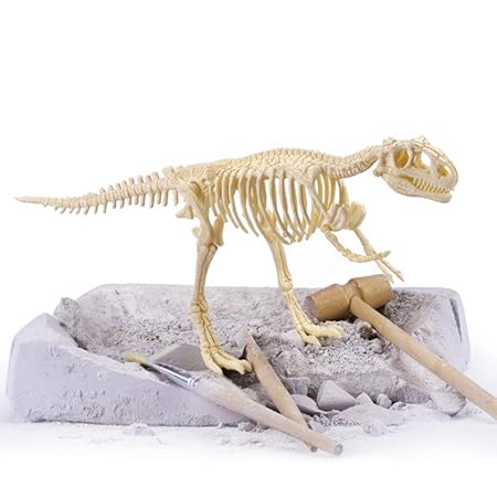 Powerking Fósil de Dinosaurio