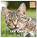 Les chats (French Edition) by