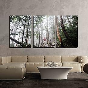 a Person in The Rainforest x3 Panels